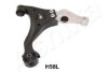 ASHIKA 72-0H-H58L Track Control Arm